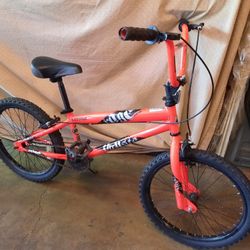 20 Inch Bmx 