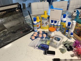 Fish Aquarium with a bunch of acessories! Don’t miss out on this deal!