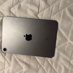 iPad Mini 