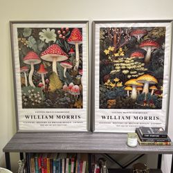 2 Framed William Morris Prints 