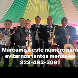 Gavilanes 