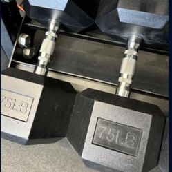 Hex Rubber Dumbbell Pair 75 Ib Vesta Fitness