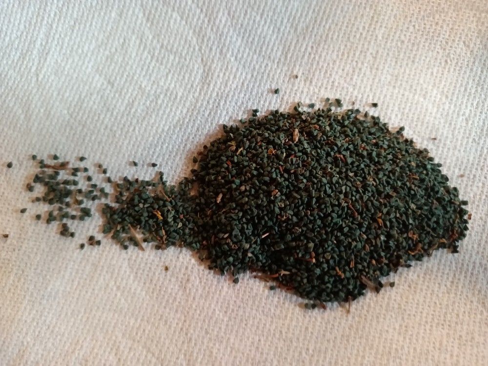 Imported Egyptian Mulokhia aka Jute Seeds