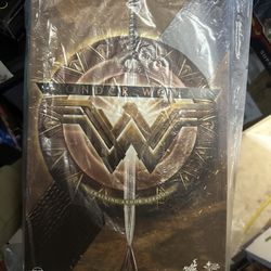 Wonder Woman Training Armor