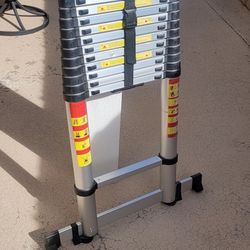 Telescopic Ladder 