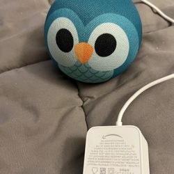 Childrens Echo Dot 
