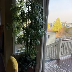 FREE 8’ Tall Faux Tree with Planter 