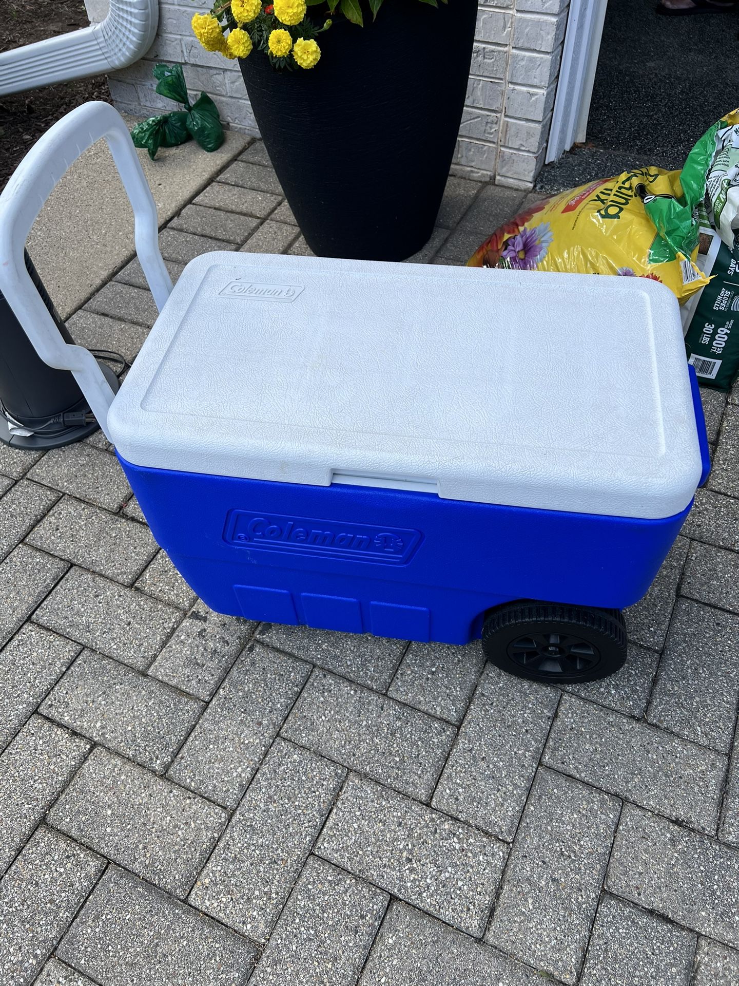 Coleman Cooler