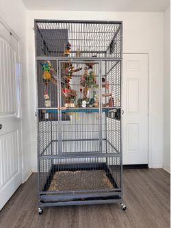 Bulk Bird Cage