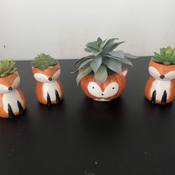 Fake Plants Succulents Foxes 