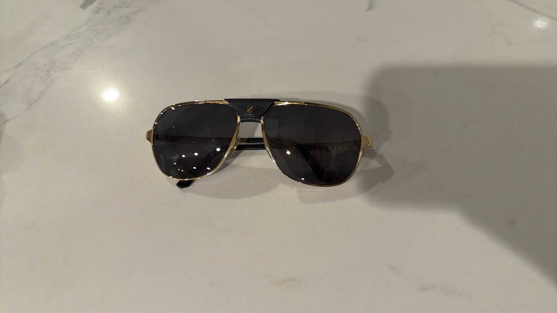 CARTIER BUFFALO HORN POLARIZED Sunglasses