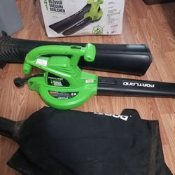 Green works  Battery and  Charger 