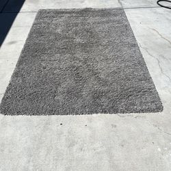 Grey Area Carpet 
