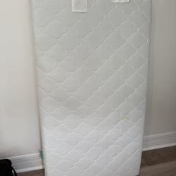 Newton mattress 