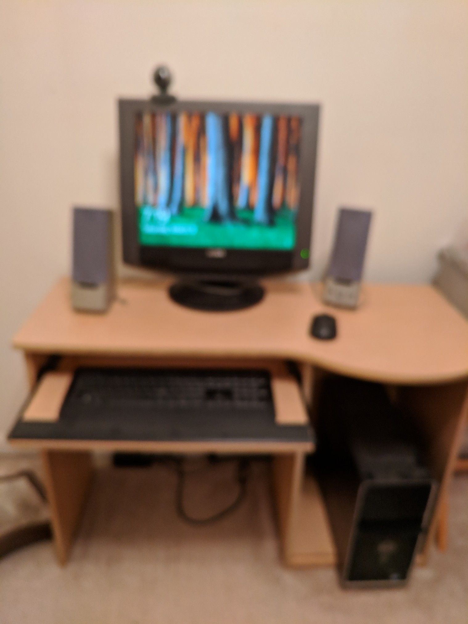 Computer monitor, wireless keyboard and mouse camera and 2 speakers