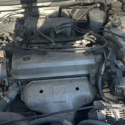 1995 Honda Accord