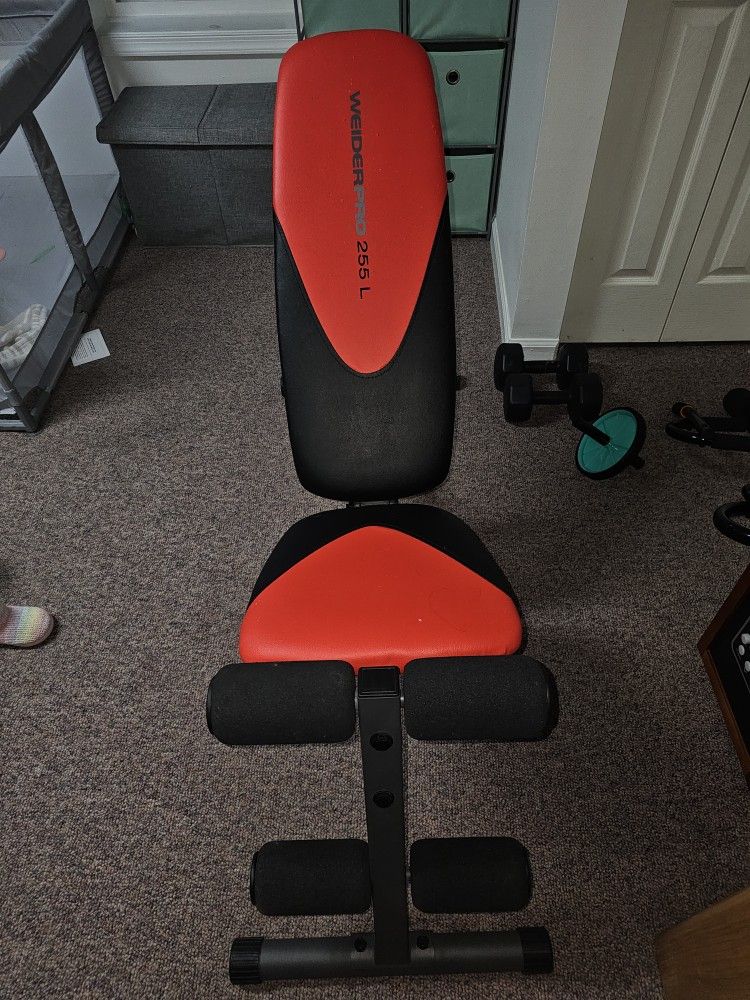 Workout Bench