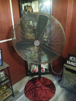 Big fan