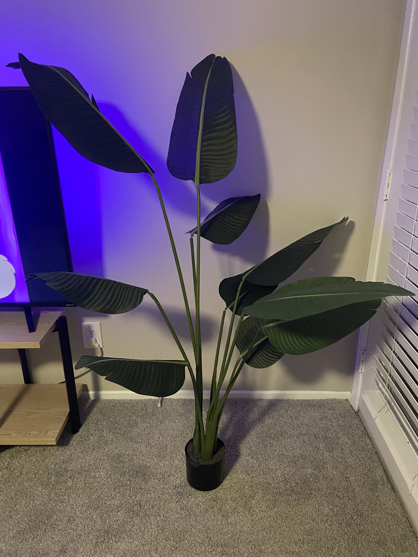 Fake Plant