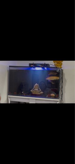 45 gallon sump tank
