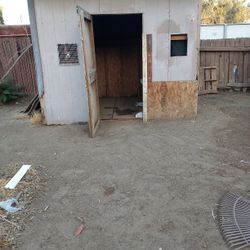 Shed