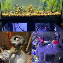 Full Loaded Fish Tank Everything Included Must Go