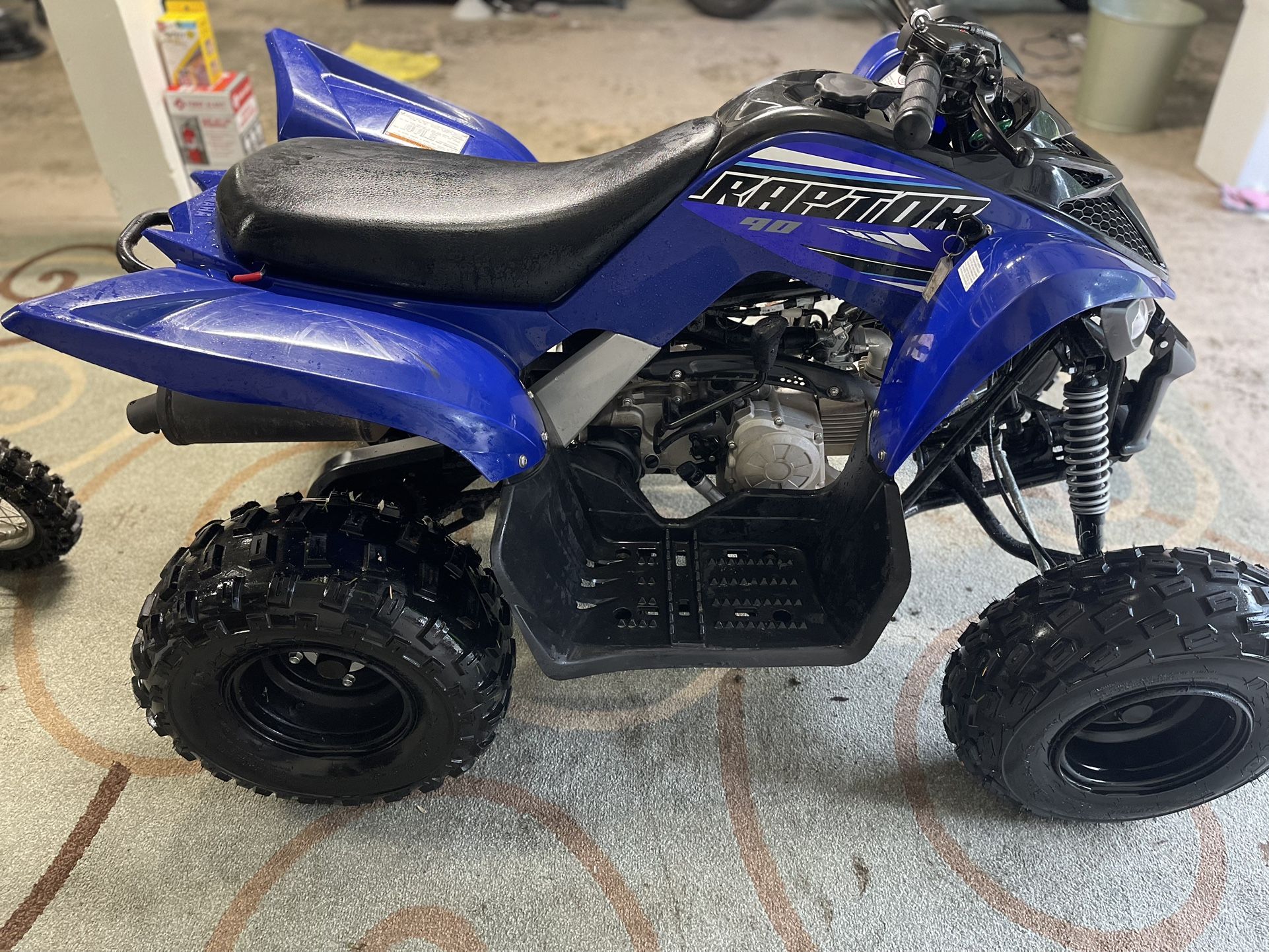 Yamaha Raptor 90 And TTR 50