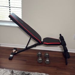 Bench And Dumbbell 