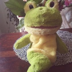 Green Puppet Frog