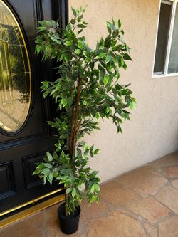 Artificial Ficus Tree – Great Home or Office Decor