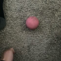 pink bouncy bal