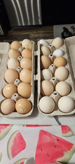 Organicos/ Organic