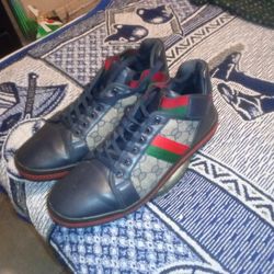 Moderno Italy Design Brand