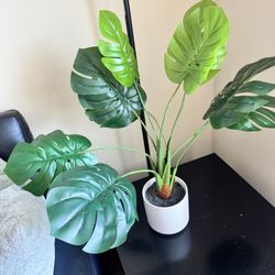 Fake Green Plant 