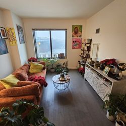 Like New  Sofa - Mint Condition 