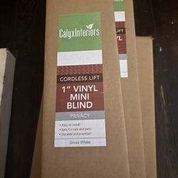 5 Vinyl Cordless Mini Blinds