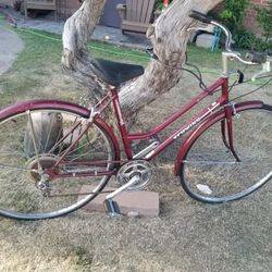 Schwinn World Tourist
