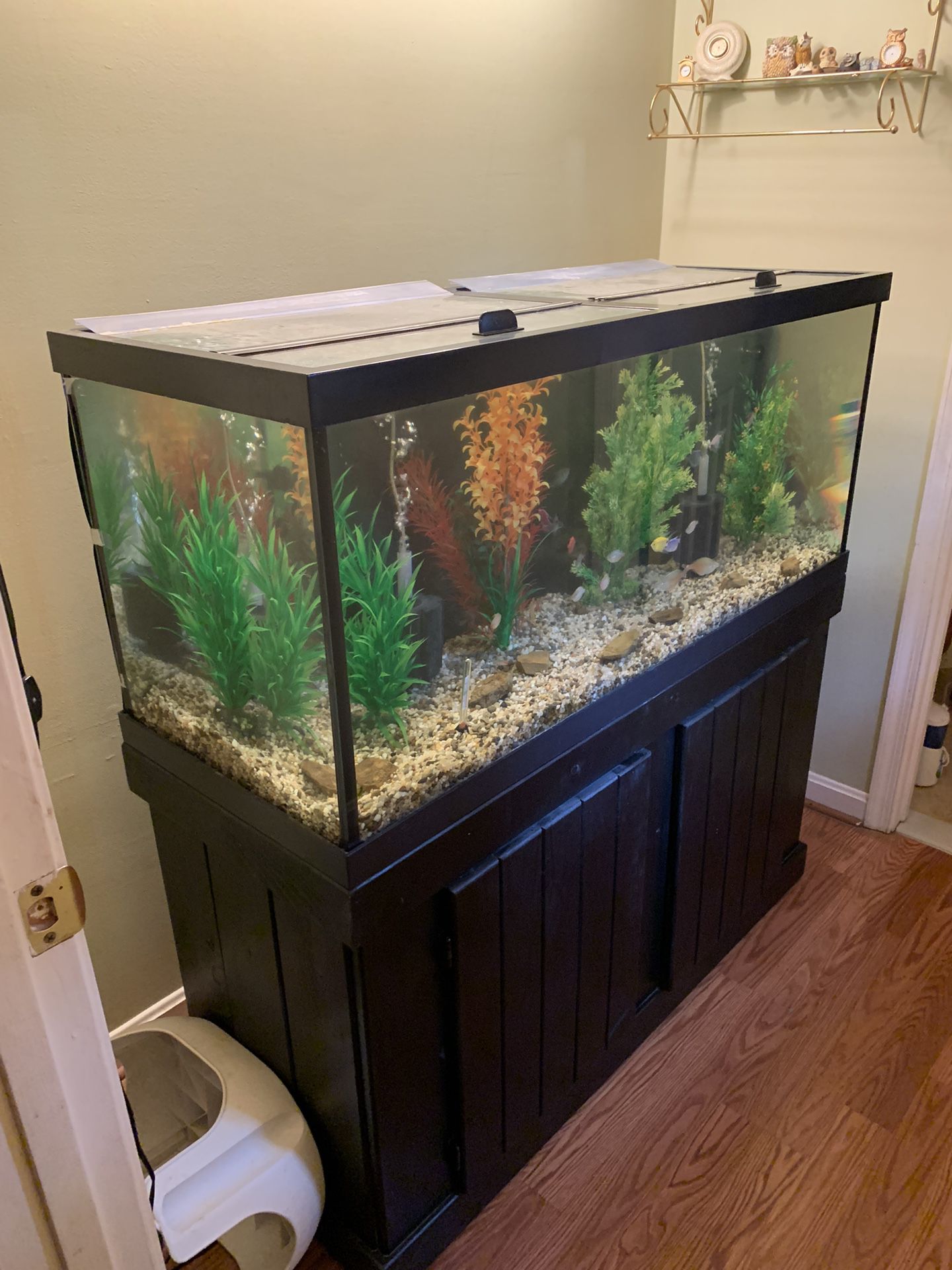 75 Gallon Aquarium & Cabinet Stand 