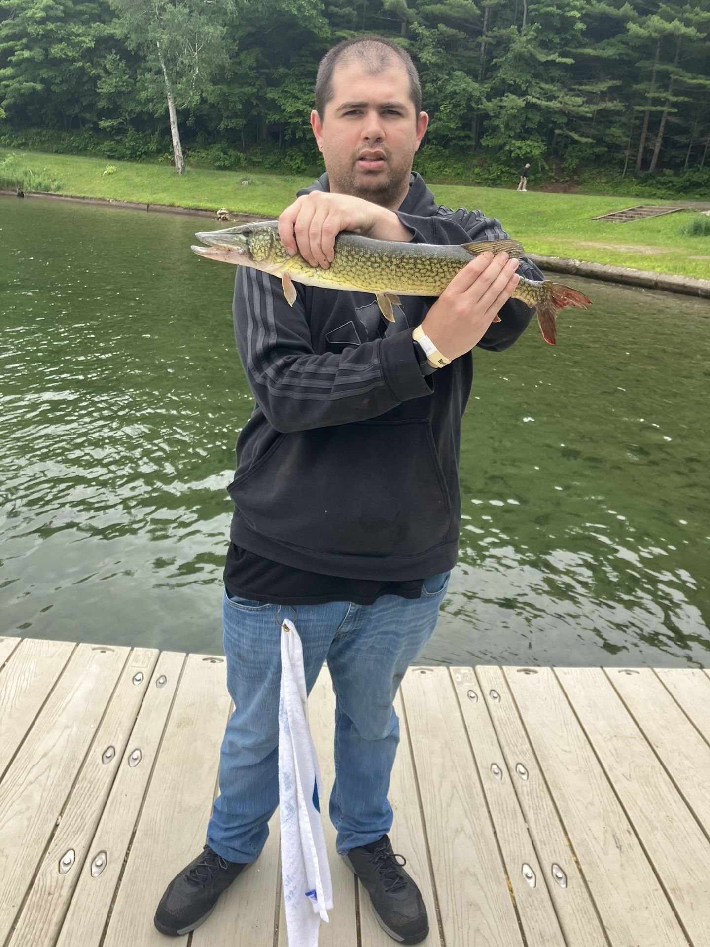 Fishing Poles For Sale