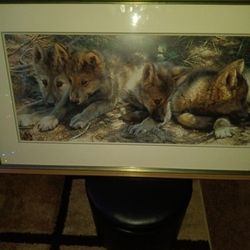 Carl Brenders Nov 97 Pick Of The Pack