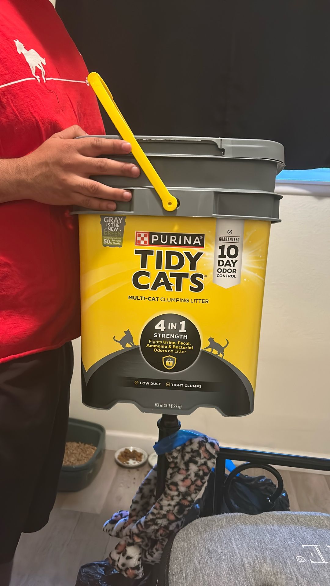 Kitty Litter Need Gone