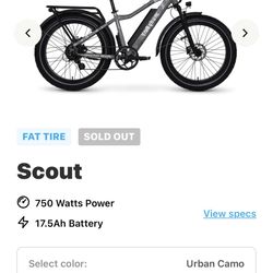 E-Bike