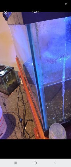 40 breeder aquarium