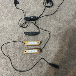 Acoustic Guitar In Hole Pickups