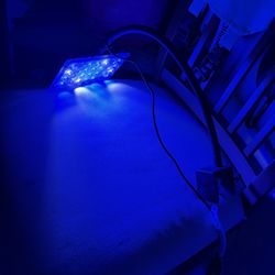 Light For Fish Tank
