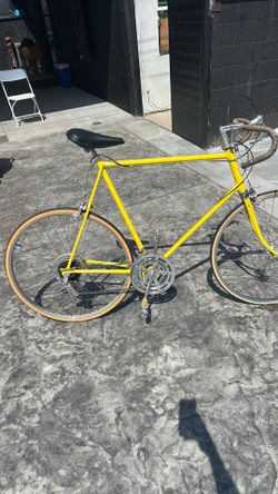 Vintage Schwinn 1972