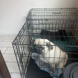 Dog Crate