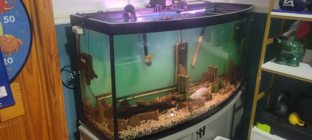 75 Gallon Fish Tank