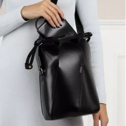 Authentic Chloe Bag With Clutch