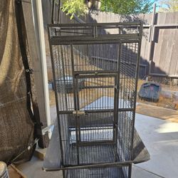  Bird Cage 